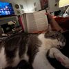 therealamysbooknook