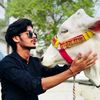 hamzaniazi11gmail.com