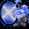 shamsaalalawi6