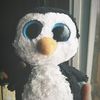 wallacetpenguin