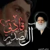 mortezaalmansouri3