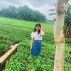 user7640508990215