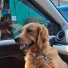 andrew_sitorus