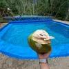 mrotstyphoon