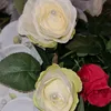 ninoul0609