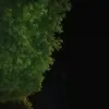 toshiedav23