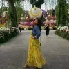 jodiebodee