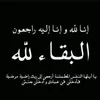 user24508031