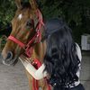 alreem_1117