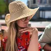 delphine_lsn