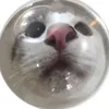 ninassafeplace