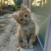 user3cfytvfvwf