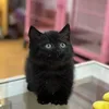 leelee_1236