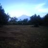 henrycol8