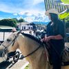 johanarodriguez680