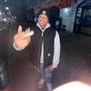 _dibo