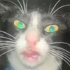 charlesrobillo2