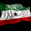 abudar_alqafaari