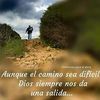 rosareyes774