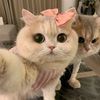 eman_rahad