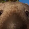 nomnom2777