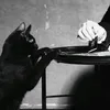 ss_26y