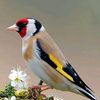 mohammadali.17mohamma
