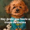 pamelitapavicguer