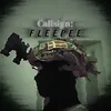 callsign_fleepee