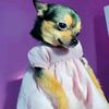 larosadani8