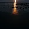 _isa_bretagne
