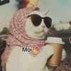 staifia78_