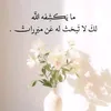 m.p.s499