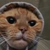 gabriel_hat01