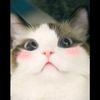 user_6_4_8