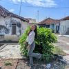 _mellani5