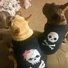 frogdogdesigns