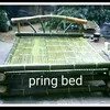 pring_bed