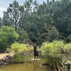 slbotanicalcollection