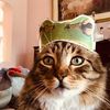 extralikeavocadho