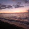 arymsuarez