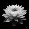 an_nguyen1991