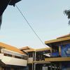 zylvanxa02