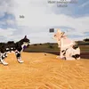 acegxming