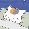 maimai28bubbub