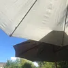 vlrltnt