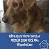 cristinafaria52