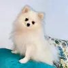 ezouinerq