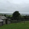 blenheimblue