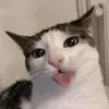jsbsjd_2